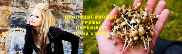 каннабис Дмитровск