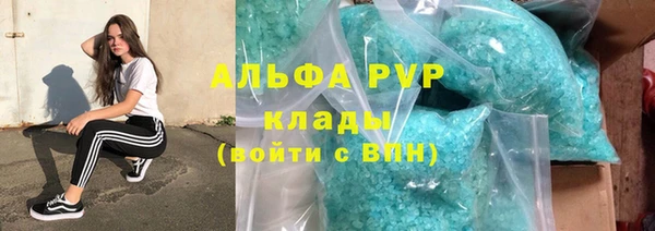 мяу мяу мука Елабуга