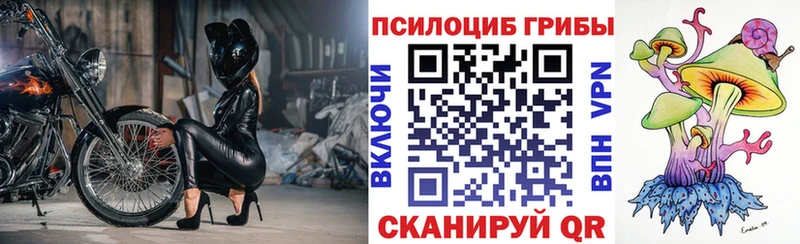 Псилоцибиновые грибы мицелий  Купить где  Куйбышев 