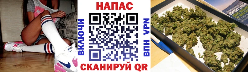 Купить закладки  Куйбышев  Марихуана конопля 